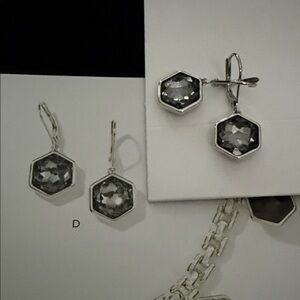 Touchstone crystal on edge earrings.